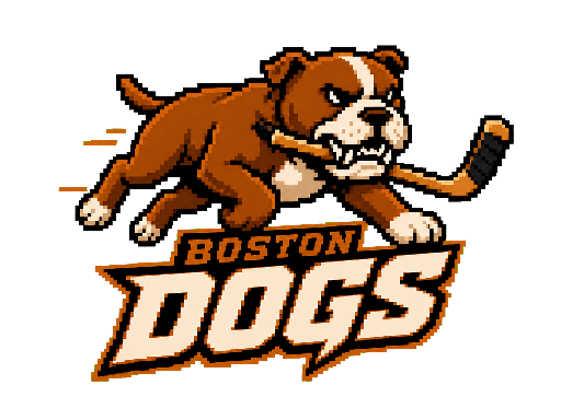 Boston Dogs club banner with its crest and name