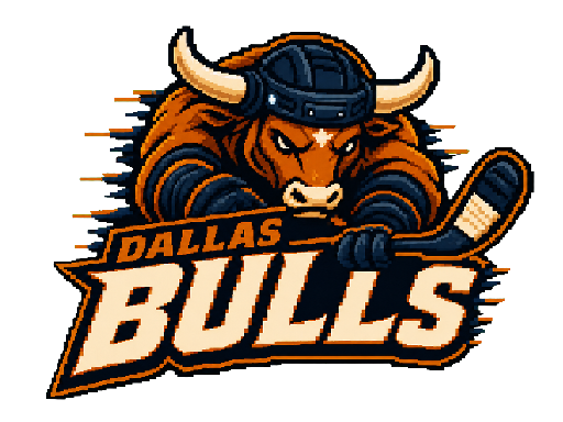 Dallas Bulls club banner with its crest and name