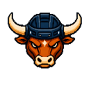 Dallas Bulls logo