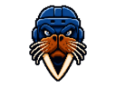 Vancouver Walruses logo