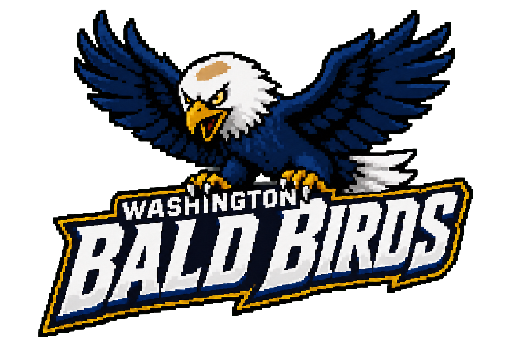 Washington Bald Birds club banner with its crest and name